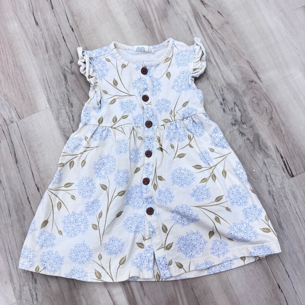 Hydrangea ruffle Sleeve blue cream button front 100% cotton dress Sz 2Y